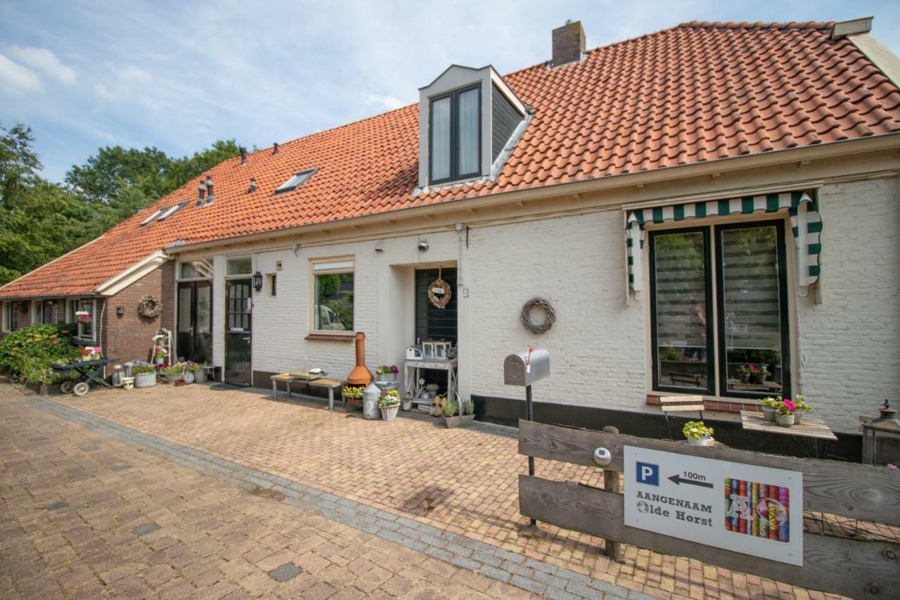 B&B Aangenaam - Olde Horst Diever Extérieur photo